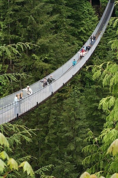 Capilano Suspension Bridge & Rainforest Walk