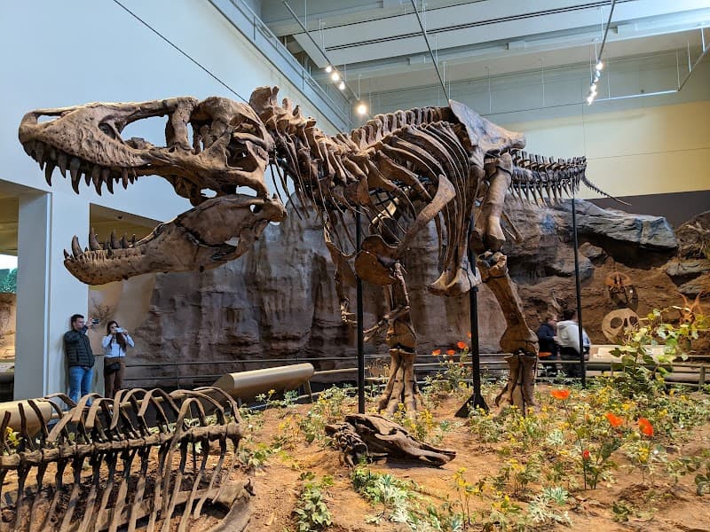 Carnegie Museum of Art & Natural History