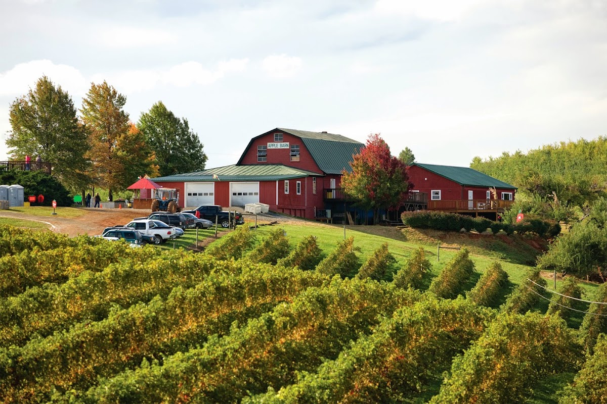 Carter Mountain Orchard
