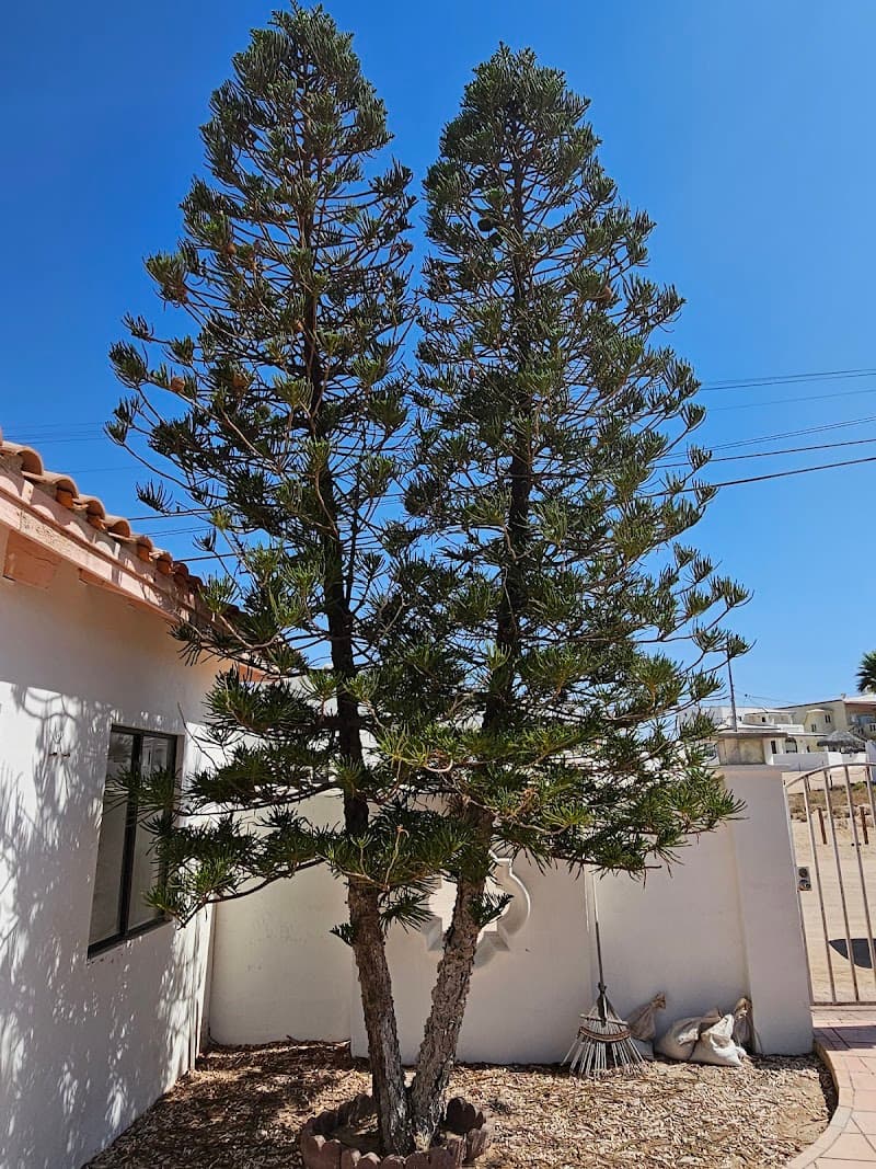 Casa La Vida Dulce (Vacation Rental, Las Conchas Area)