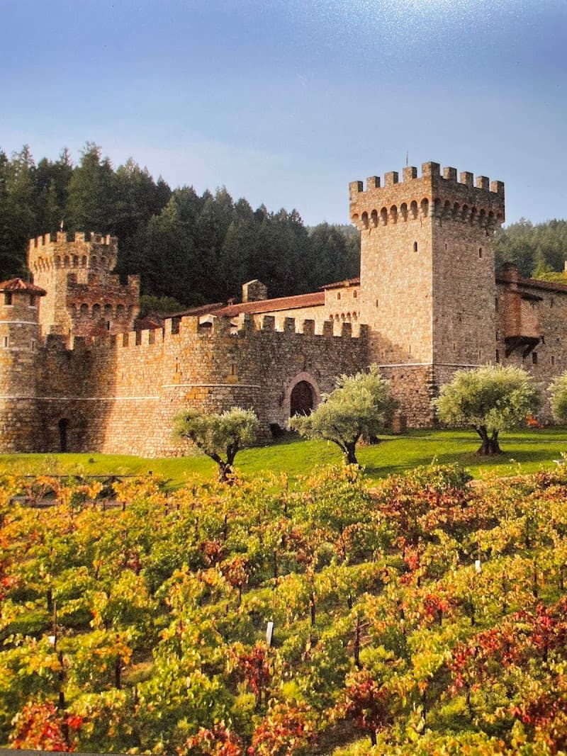 Castello di Amorosa Private Tour