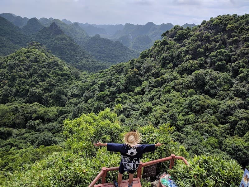 Cat Ba National Park Short Jungle Hike (Ngu Lam Peak)
