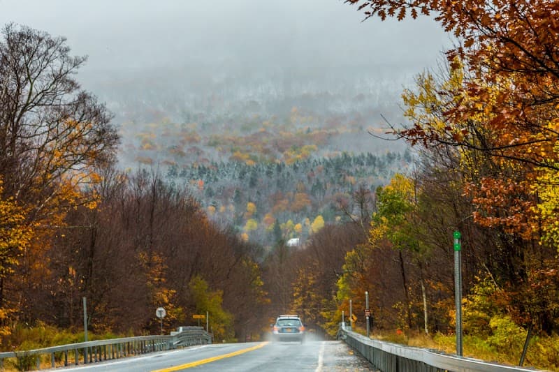 Catskill Nature Walk