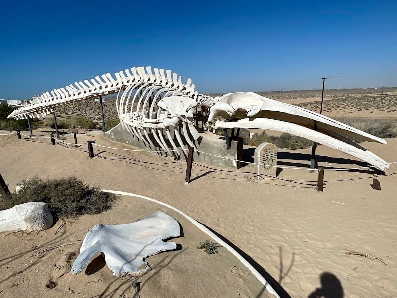 CEDO Intercultural Center for the Study of Deserts and Oceans