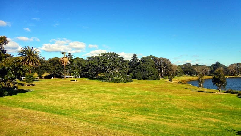 Centennial Parklands Rainforest Trails