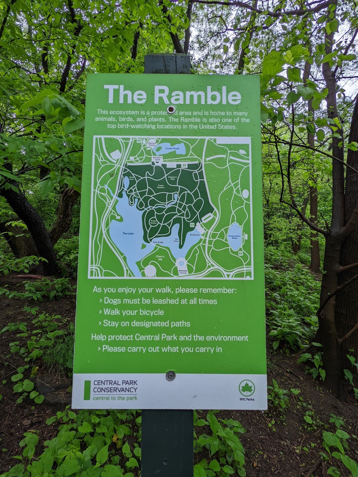 Central Park Ramble Hike