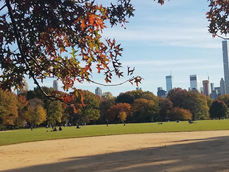 Central Park Reservoir & Great Lawn Walk