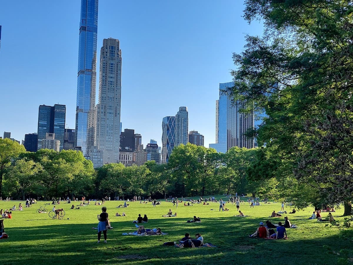 Central Park Sheep Meadow