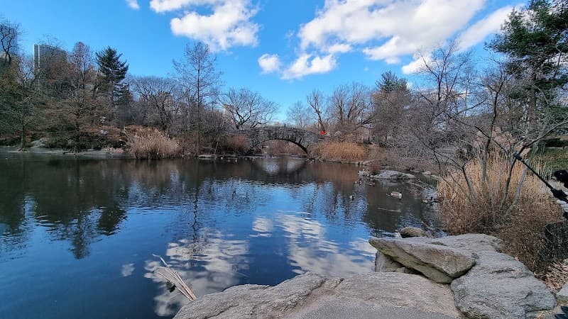 Central Park Stroll & Bow Bridge/Gapstow Bridge