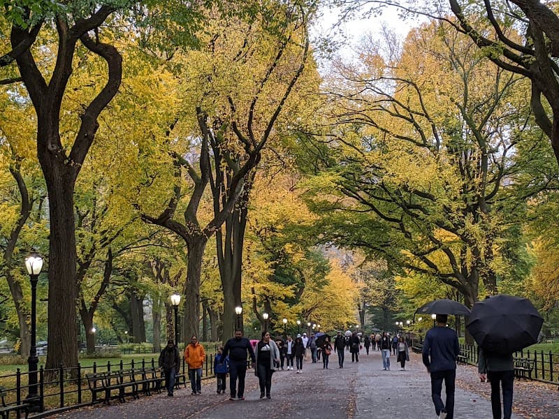 Central Park Stroll (South End & The Mall)