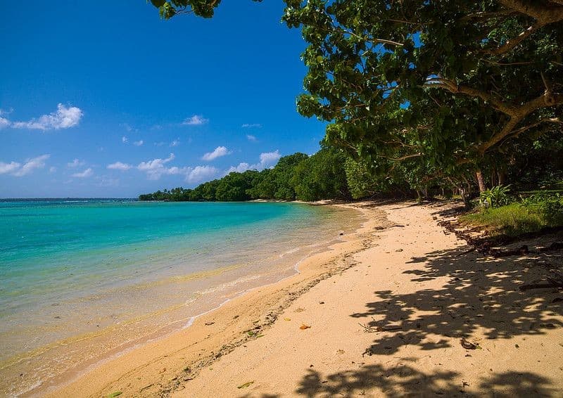 Champagne Beach