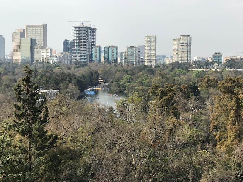 Chapultepec Park & Anthropology Museum