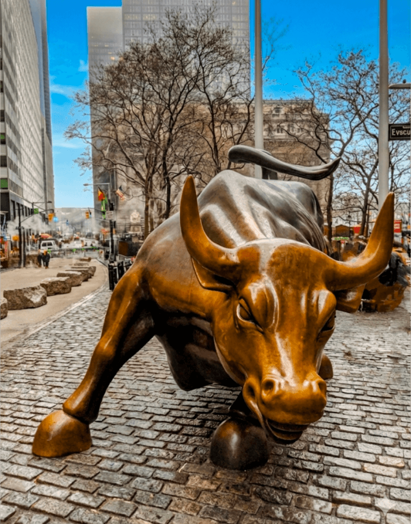 Charging Bull & Wall Street Area