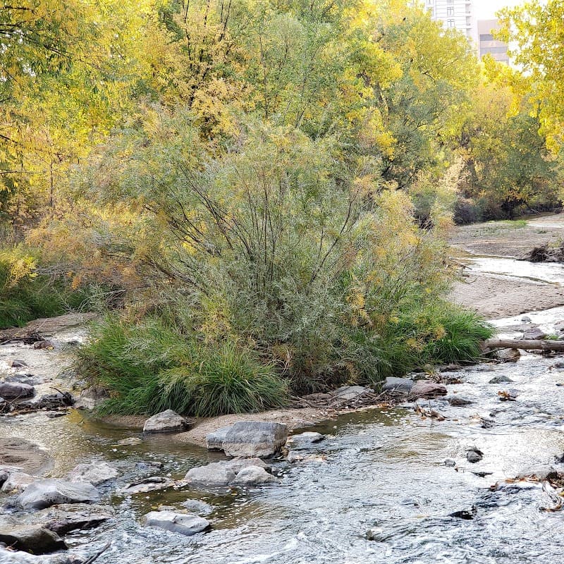 Cherry Creek Trail (Downtown Section)
