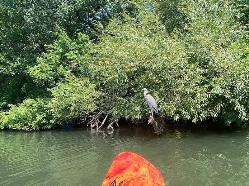 Chicago River Kayak Tour
