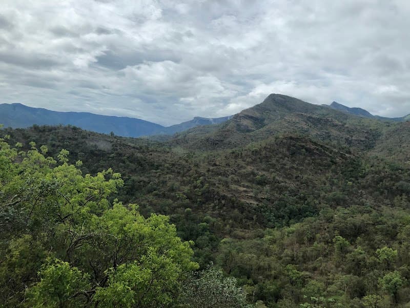 Chinnar Wildlife Sanctuary (Day Trip Base from Munnar)