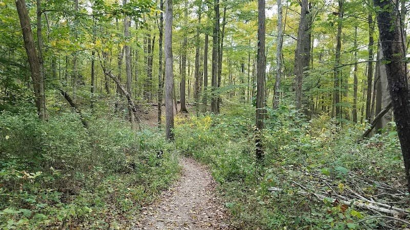 Cincinnati Nature Center (Rowe Woods)
