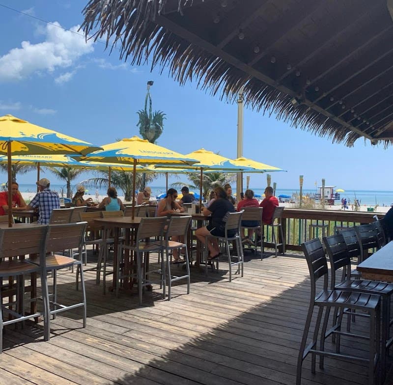 Coconuts on the Beach