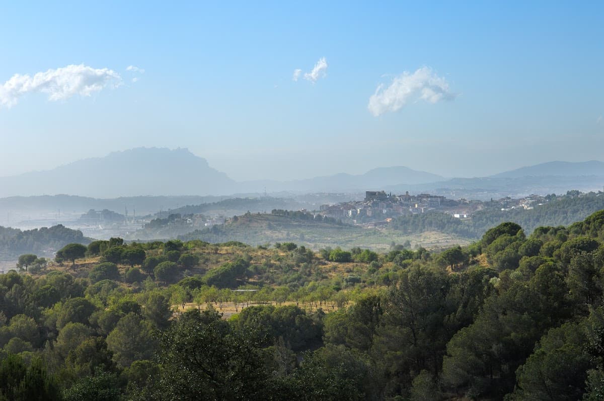 Collserola Zipline Experience
