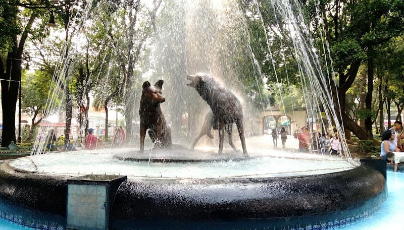 Contramarito Coyoacán