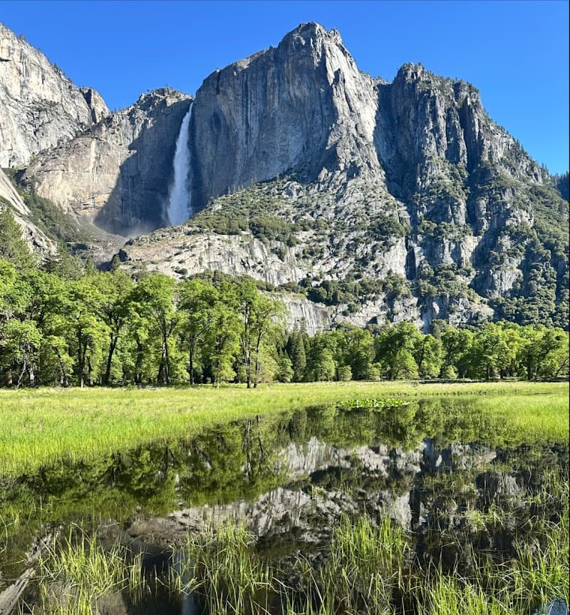 Cook's Meadow Loop