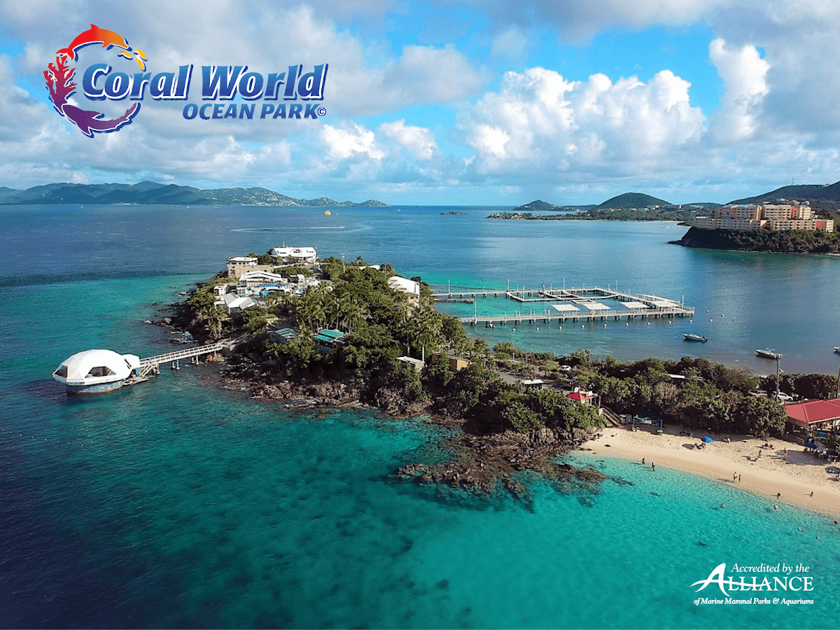 Coral World Ocean Park