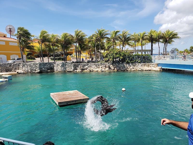 Curaçao Sea Aquarium Area Stroll