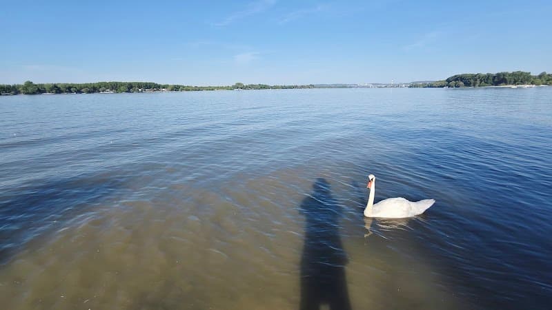 Danube Riverside Walk in Zemun