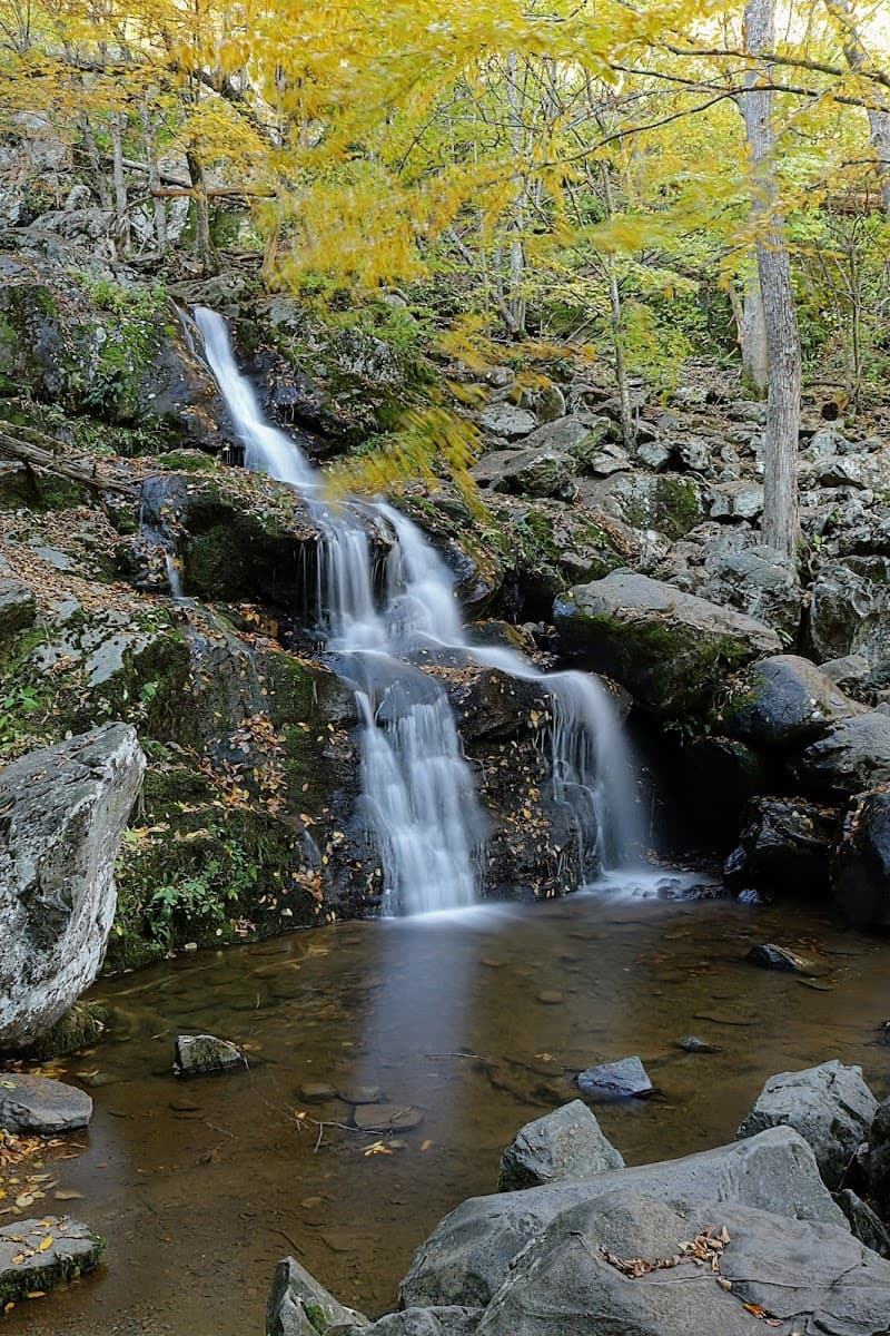 Dark Hollow Falls Trail
