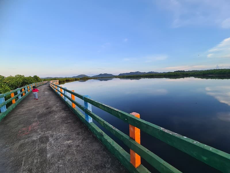 Del Carmen Mangrove Boardwalk Snapshot
