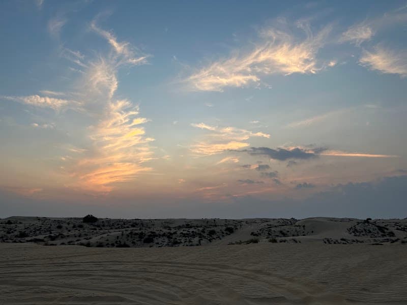 Desert Camp BBQ Buffet