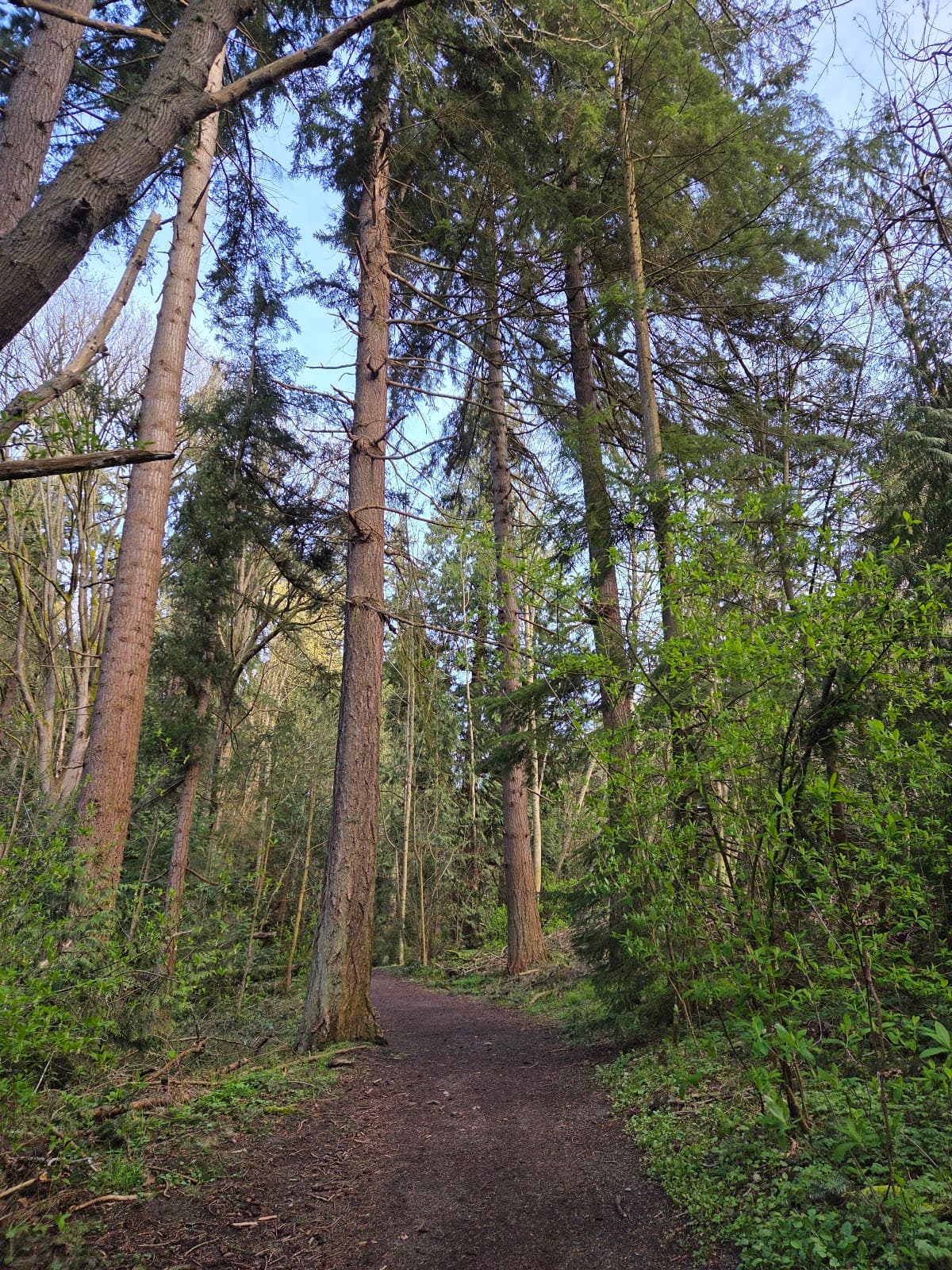 Discovery Park Loop Trail