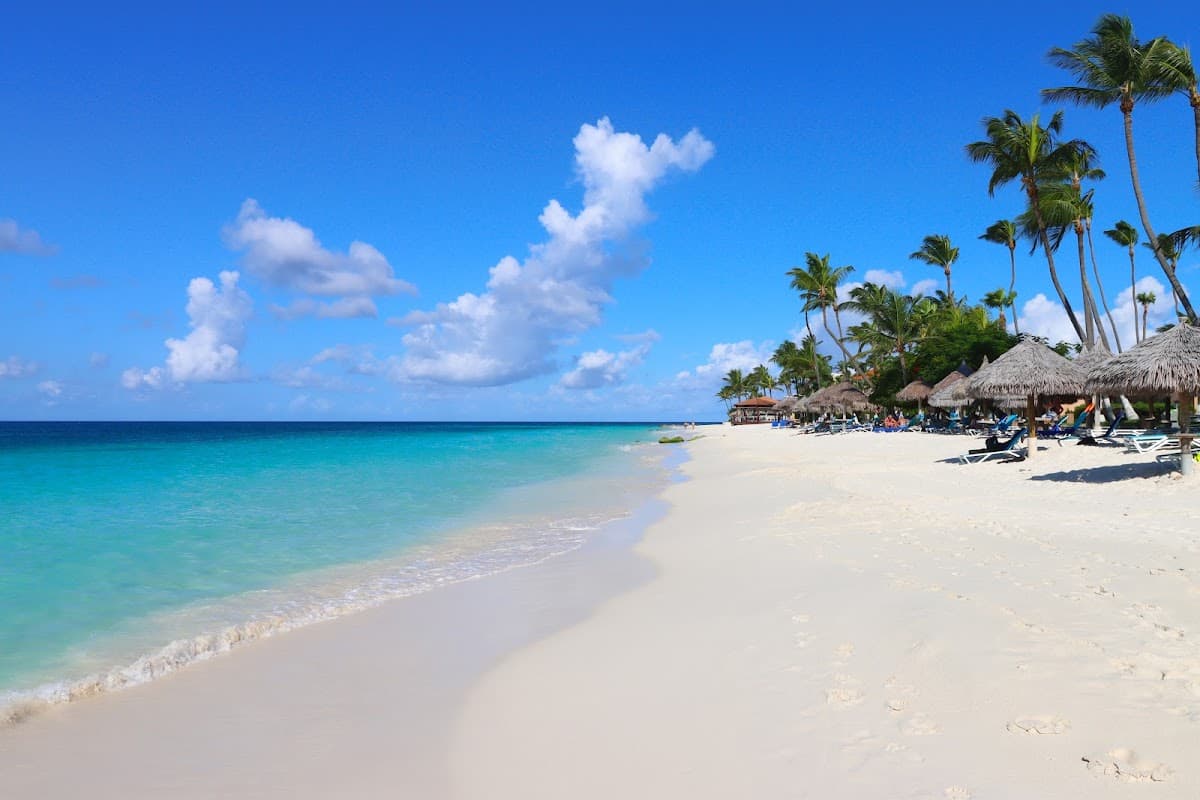 Divi Beach Free Time