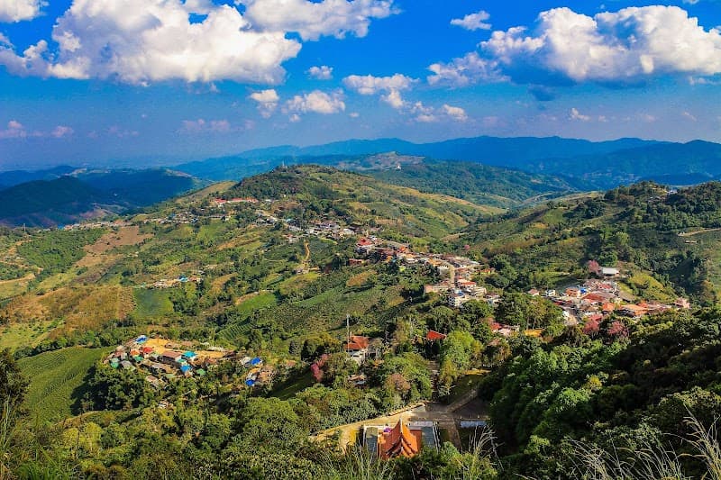Doi Mae Salong Tea Hills