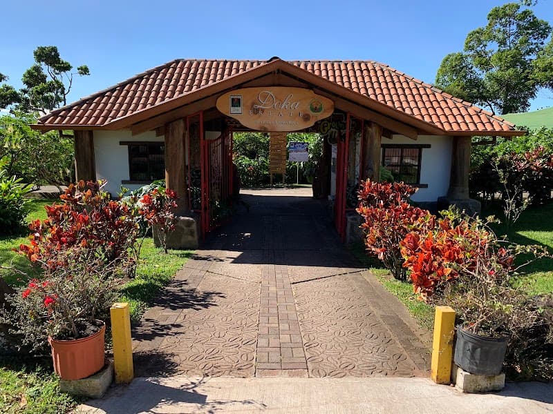 Doka Estate Coffee Tour