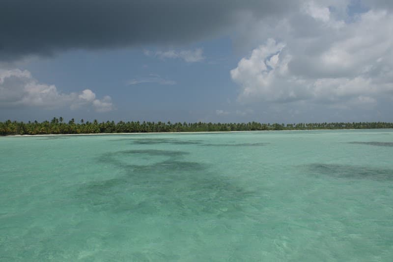 Dolphin Discovery Punta Cana