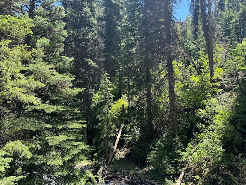 Donut Falls Trail