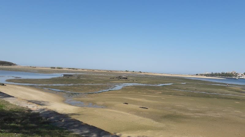 Douro Estuary Kayaking (Near Foz do Douro)