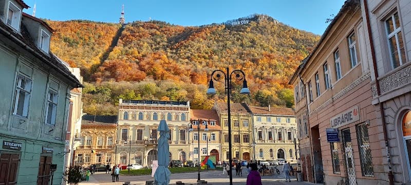Wild Carpathian Weekend in Brașov