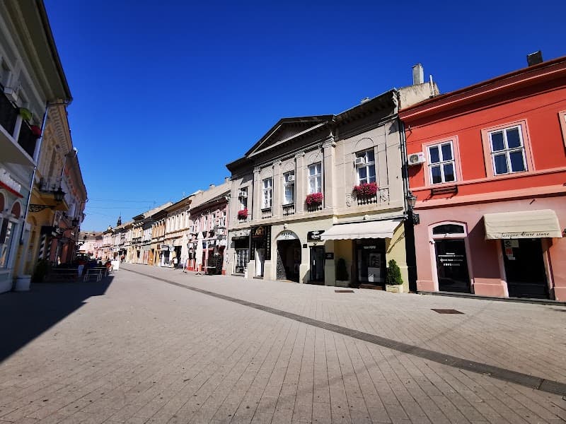 Dunavska Street and City Center Walk