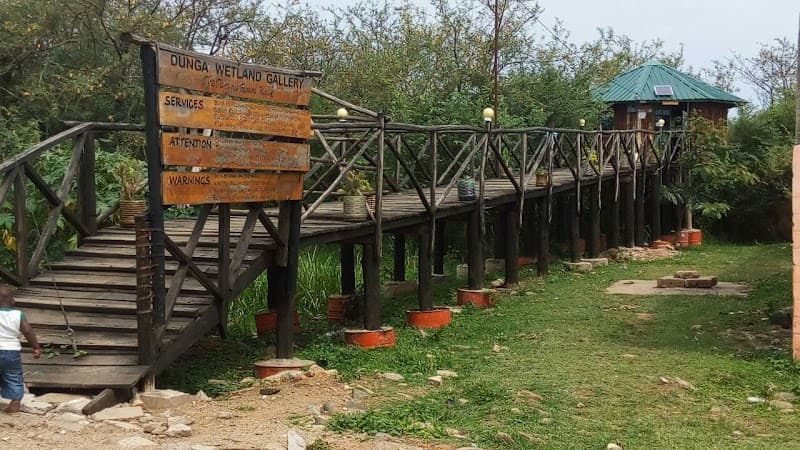 Dunga Wetland Walk
