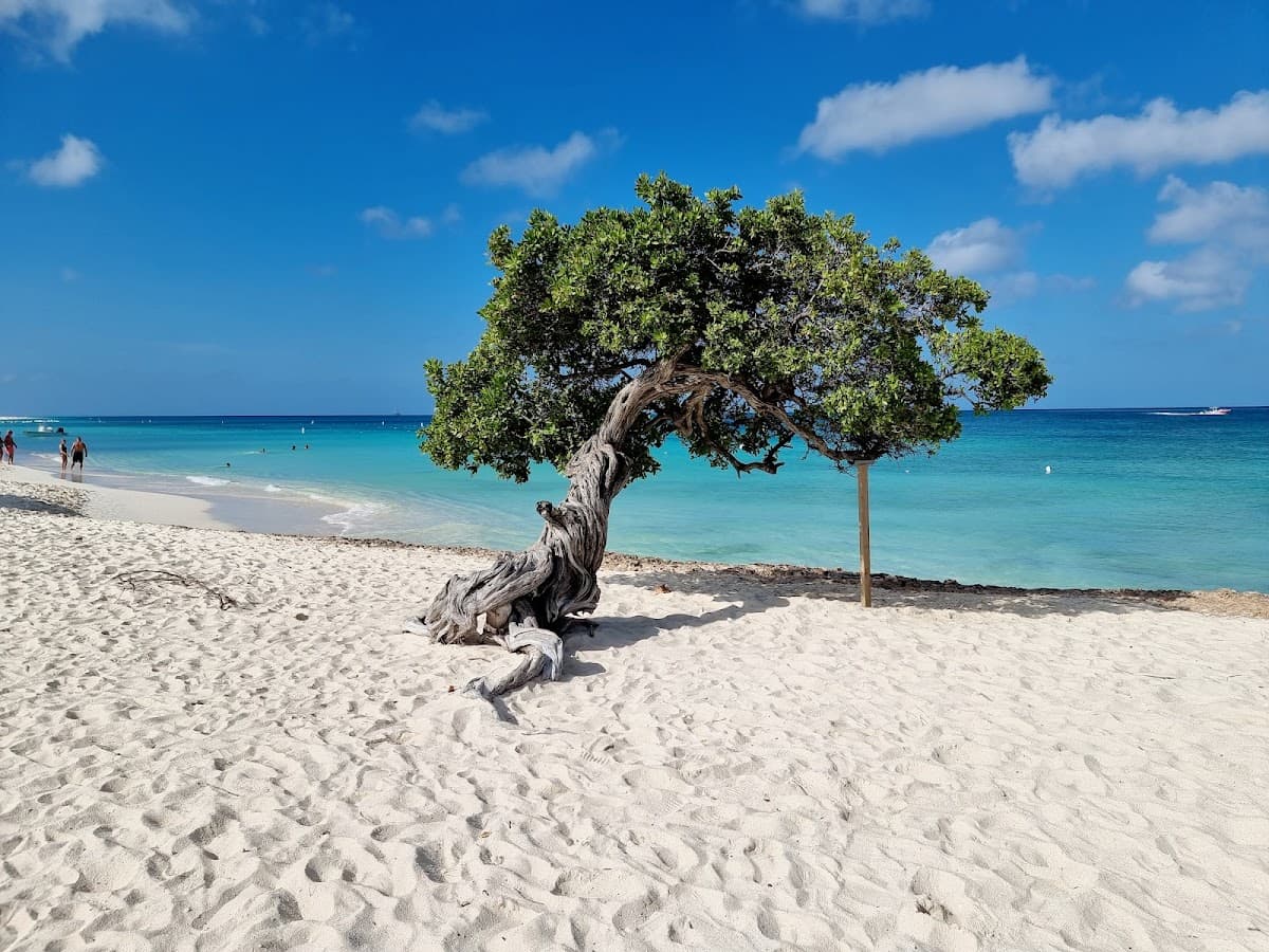 Eagle Beach Relaxation