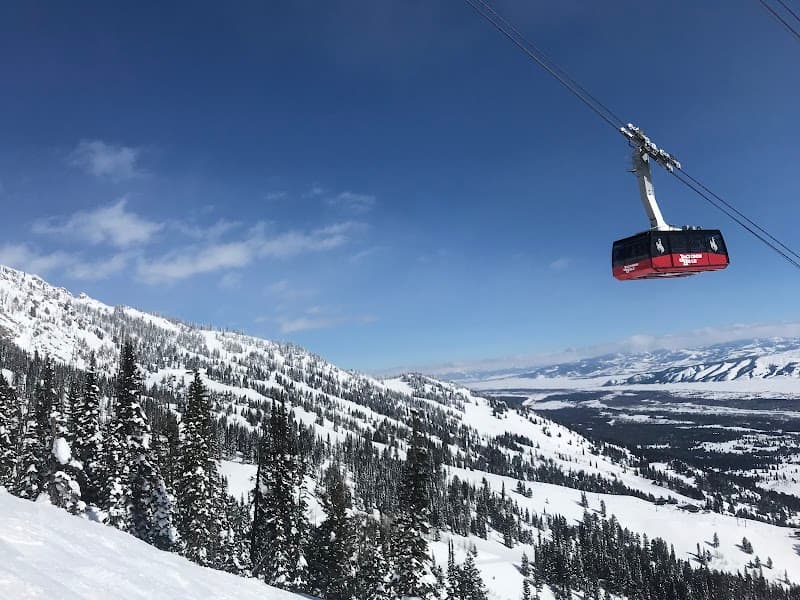 Easy Forest Walks Around Teton Village