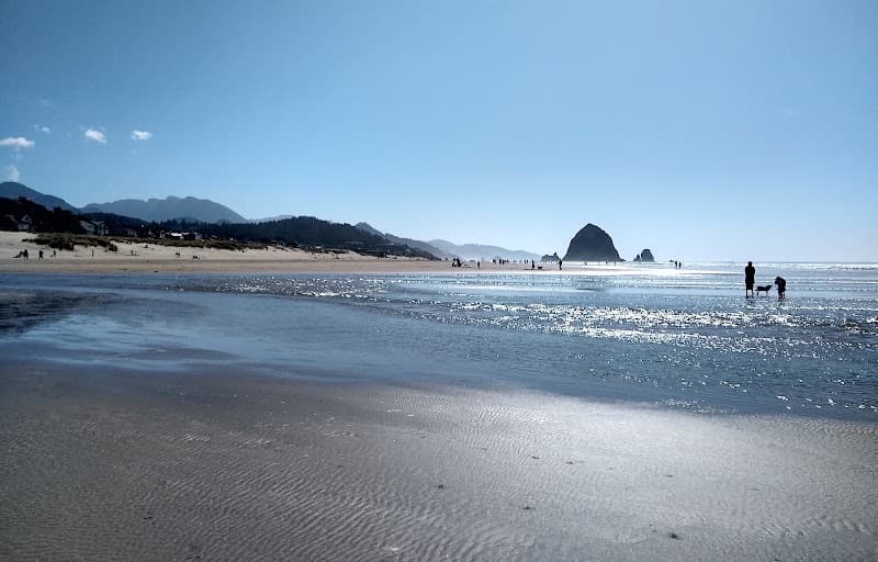 Ecola Creek & Beachside Nature Walk