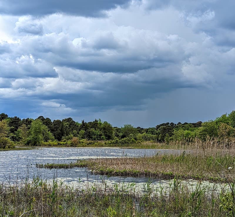Edwin B. Forsythe National Wildlife Refuge (Brigantine Unit Access)