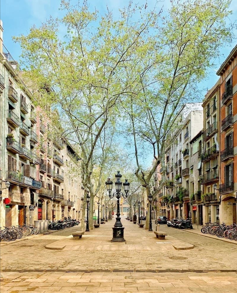 El Born Nightlife & Passeig del Born