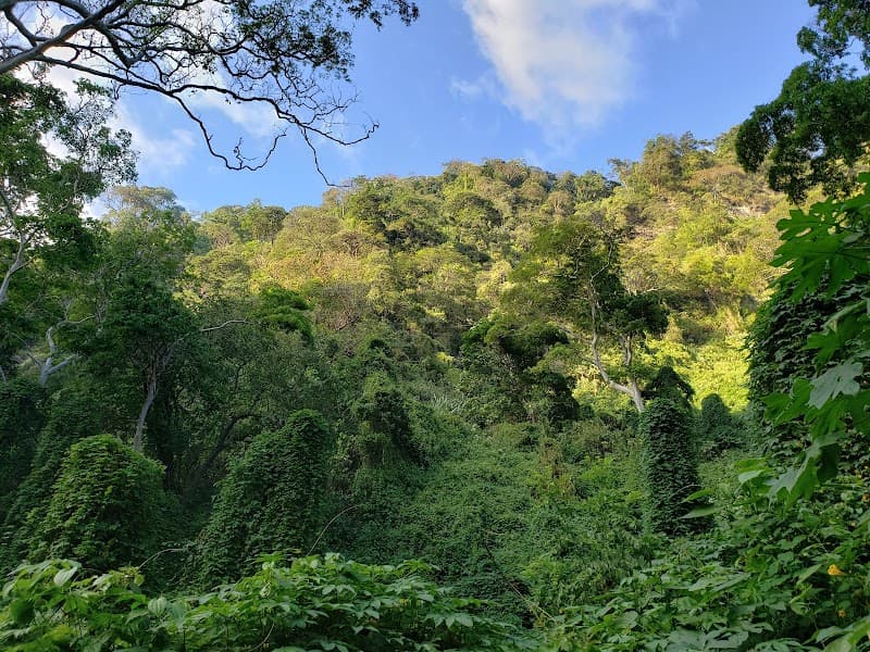 El Chocoyero-El Brujo Nature Reserve Hike