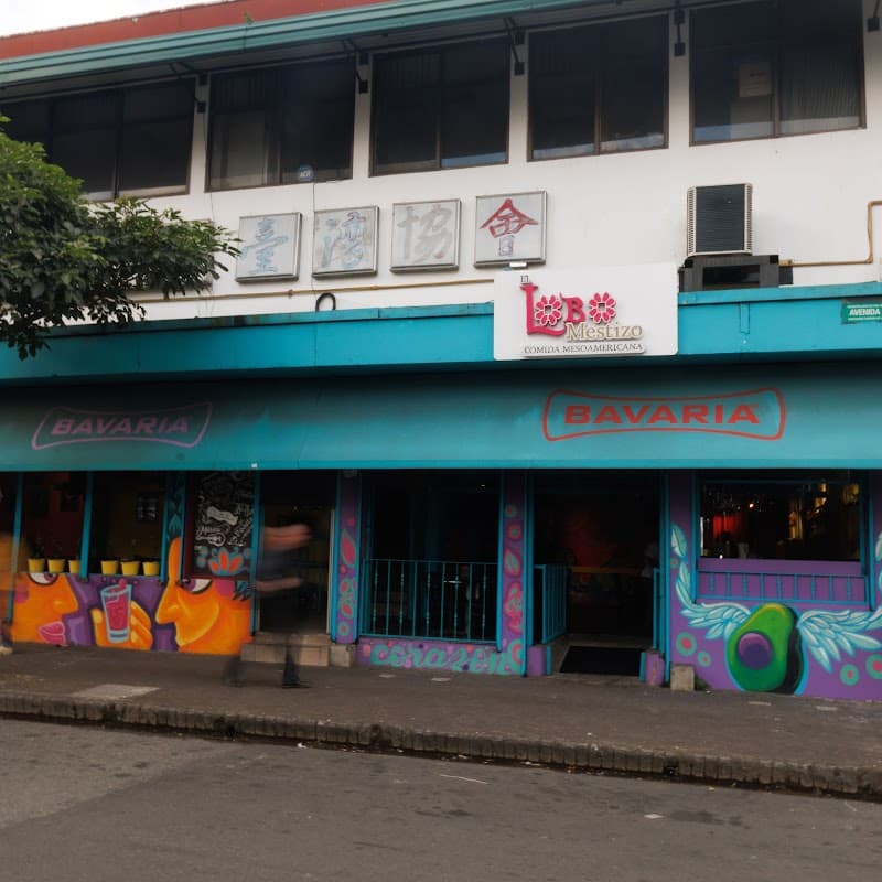 El Lobo Estepario