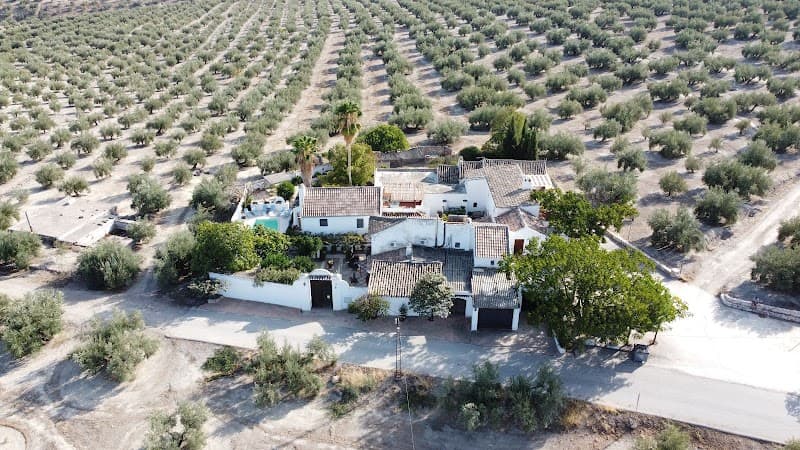 El Patio Andalusí (Halal)