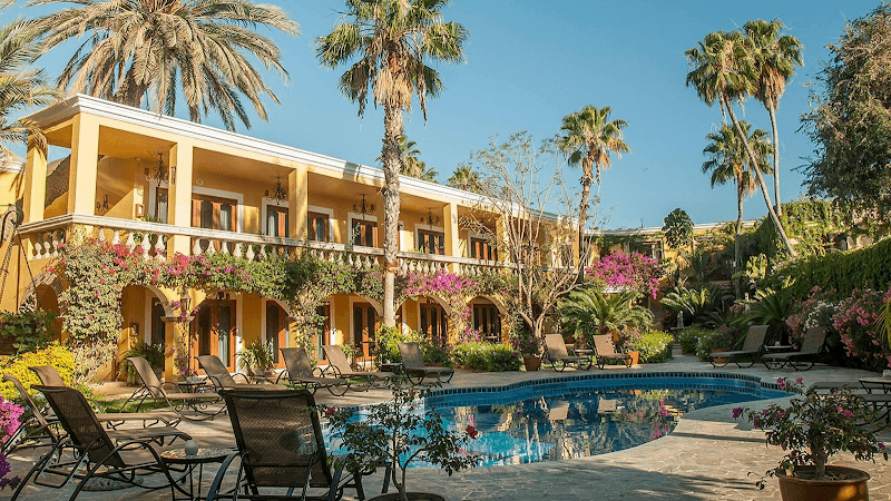 Seven Wild Days in San José del Cabo
